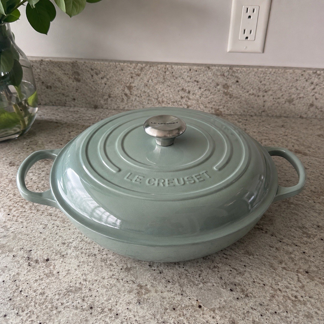 Le Creuset 3.5 Qt Signature Braiser #30 Sea Salt Green Cast Iron France NEW Chef