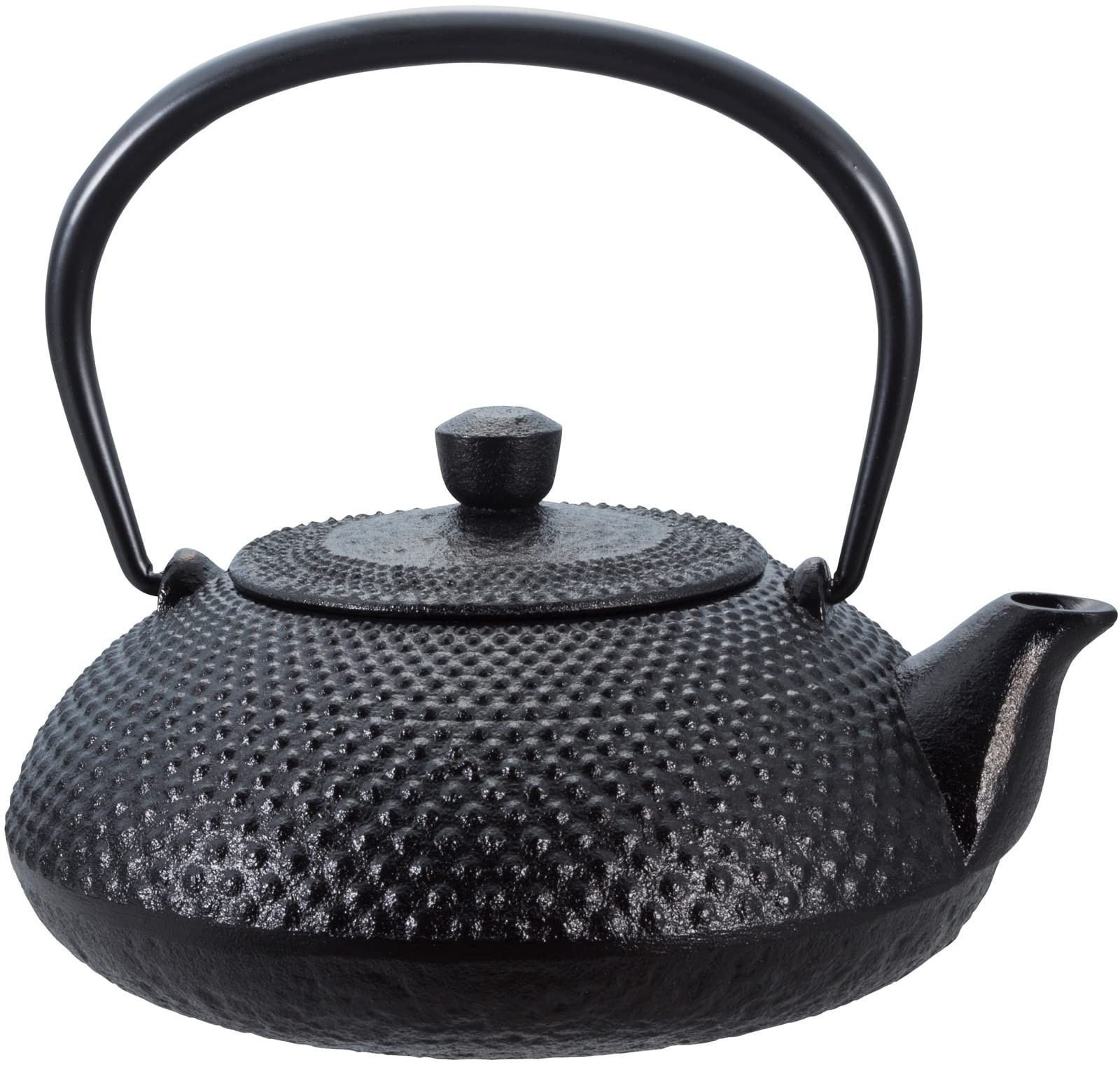 Ikenaga Iron works Iron Kettle “Ei” 0.6L Nambu Ironware 116053 Japan New