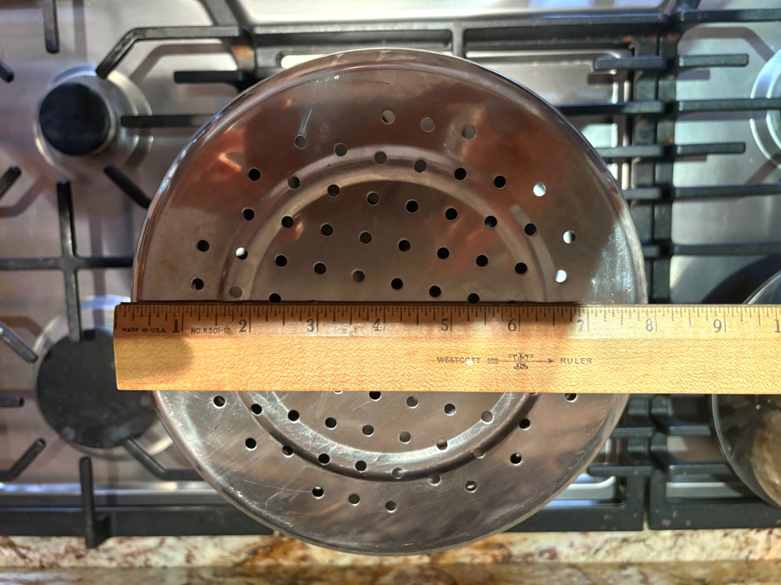 Williams Sonoma Pasta Insert Steamer 7 3/4″ x 9 3/4″ x 8″